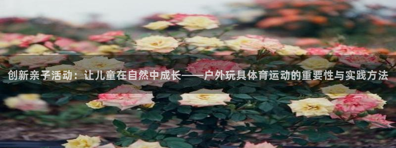 球派体育观看：创新亲子活动：让儿童在自然中成长——户外玩具体育运动的重要性与实践方法