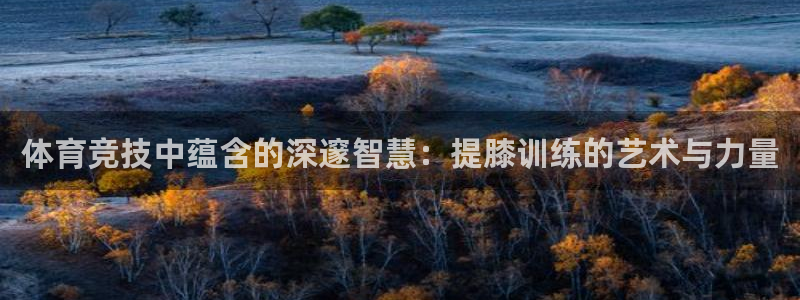 球派体育官方：体育竞技中蕴含的深邃智慧：提膝训练的艺术与力量