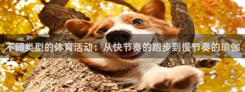 球派体育下载免费：不同类型的体育活动：从快节奏的跑步到慢节奏的瑜伽