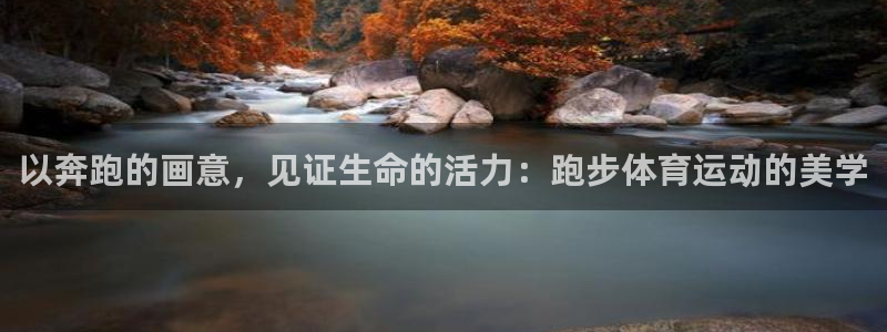 球派体育观看：以奔跑的画意，见证生命的活力：跑步体育运动的美学