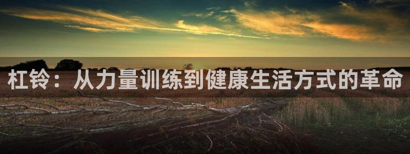 球派体育老版本：杠铃：从力量训练到健康生活方式的革命