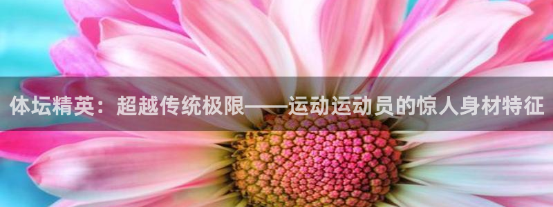 球派体育app正版下载：体坛精英：超越传统极限——运动运动员的惊人身材特征