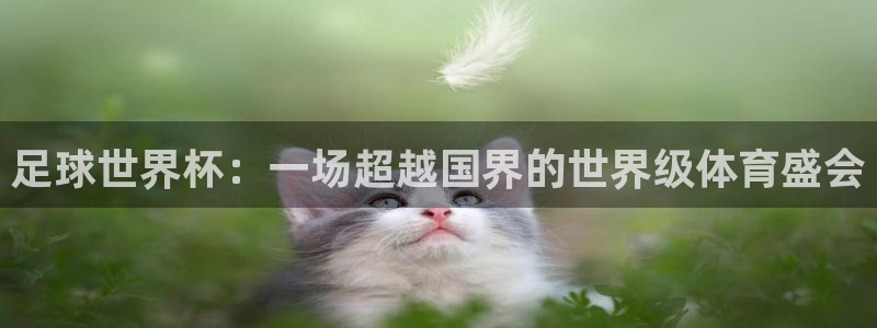 球派体育nba直播下载：足球世界杯：一场超越国界的世界级体育盛会
